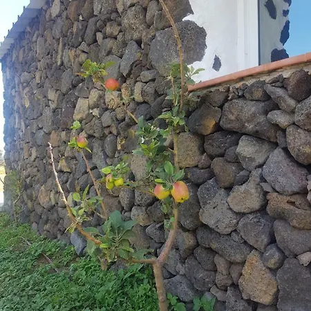 Beautiful Coastal House On A Tranquil Organic Farm Guinea