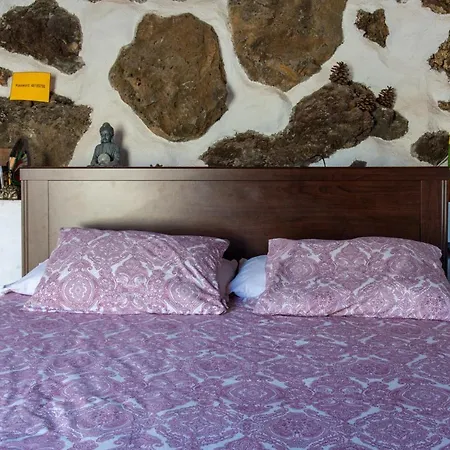 Beautiful Coastal House On A Tranquil Organic Farm Holiday home